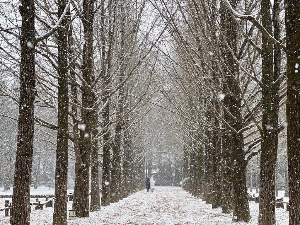 nami island winter